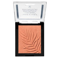 Color Icon Bronzer   1